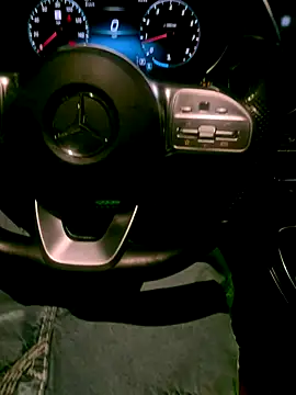 dingoding online show from November 19, 8:47 am