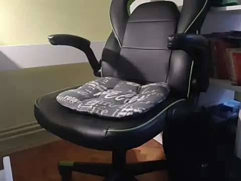 Snapshot of feathersify chatting on February 2, 6:34 am feathersify online show from February 2, 6:34 am