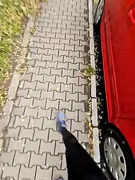 feathersify online show from October 27, 7:53 am