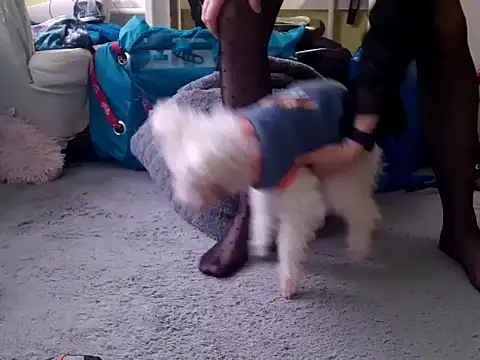 Snapshot of feathersify chatting on February 10, 8:02 am feathersify online show from February 10, 8:02 am