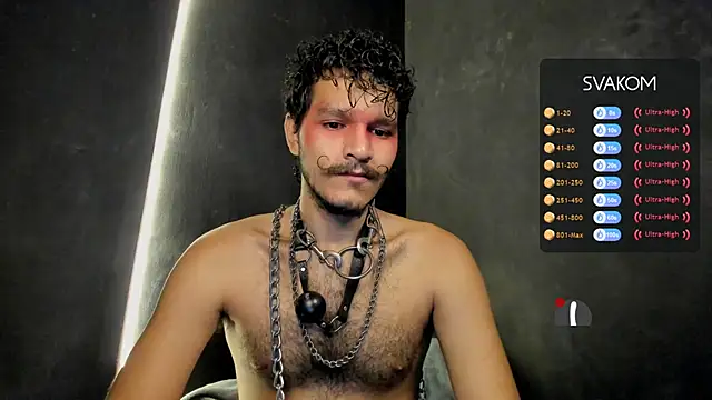 die mond online show from November 13, 5:00 am