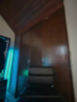 tinker exotic 1 online show from March 1, 6:41 pm