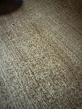 gokhanbey34 online show from January 9, 12:28 am