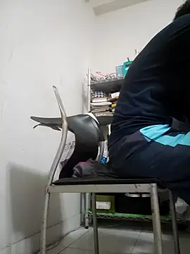 ksshp9502 online show from November 4, 3:38 pm