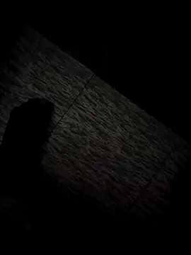 tamil202 online show from November 30, 1:28 am