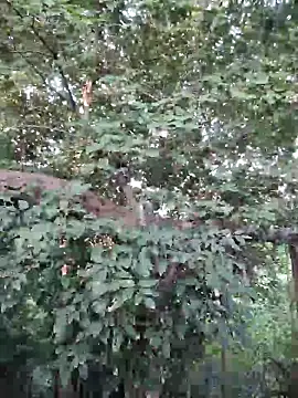 Snapshot of Rinku5553 chatting on September 26, 2:07 am Rinku5553 online show from September 26, 2:07 am