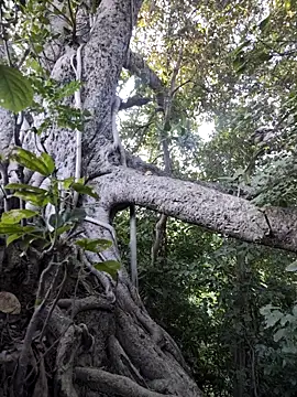 Rinku5553 online show from November 7, 2:38 am