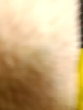 yellowwetfox online show from March 22, 10:55 pm