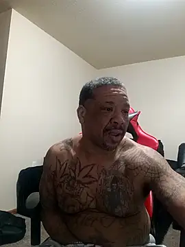 yellowwetfox online show from March 5, 2:13 pm