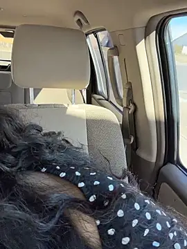 CarmelaAnthony online show from February 12, 6:29 pm