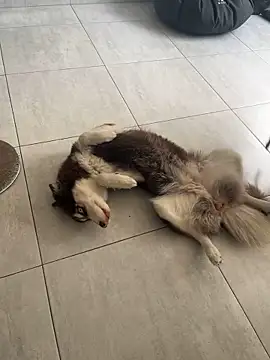 Snapshot of cutesarah_ chatting on January 26, 4:30 pm cutesarah  online show from January 26, 4:30 pm