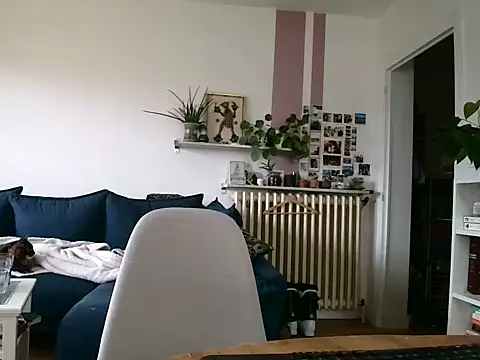 Snapshot of Simon-tem chatting on February 5, 1:40 pm Simon-tem online show from February 5, 1:40 pm