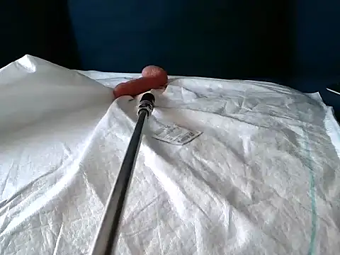 Snapshot of Simon-tem chatting on February 24, 5:09 pm Simon-tem online show from February 24, 5:09 pm