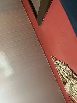 pimenta gaby online show from October 18, 1:02 pm