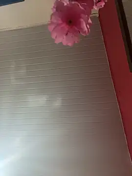 pimenta gaby online show from April 5, 12:01 pm