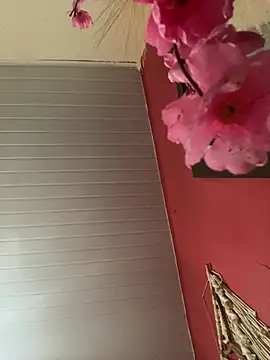 pimenta gaby online show from April 17, 3:37 pm