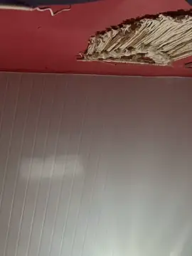 pimenta gaby online show from October 28, 11:20 am