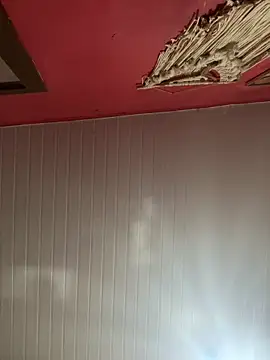 pimenta gaby online show from March 8, 2:42 pm