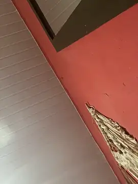 pimenta gaby online show from November 4, 11:03 am