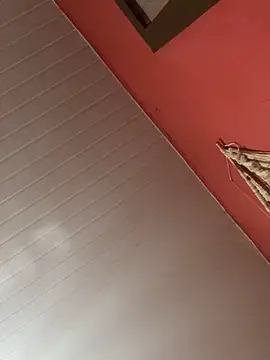 pimenta gaby online show from December 3, 11:20 am