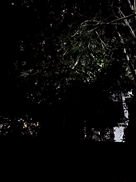 Yuky ta online show from March 3, 12:01 am