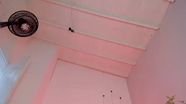 swt-booty online show from November 19, 6:52 pm