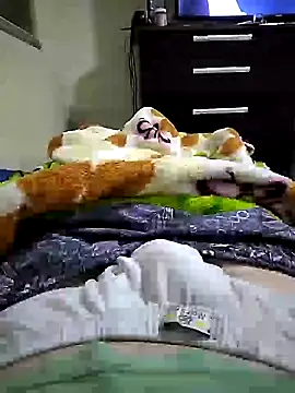 Snapshot of shiiank chatting on July 17, 12:52 am shiiank online show from July 17, 12:52 am