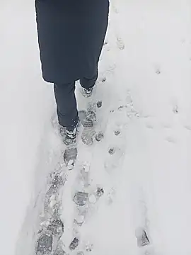 Saysomething3 online show from January 11, 7:59 am