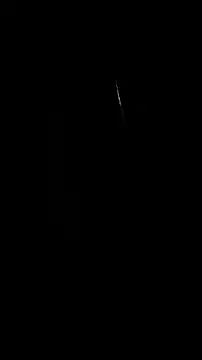 nenalayla online show from February 13, 8:03 am