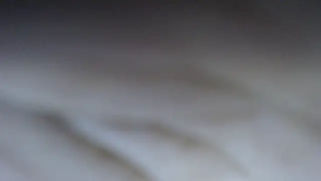 swt shadow online show from March 4, 8:16 pm