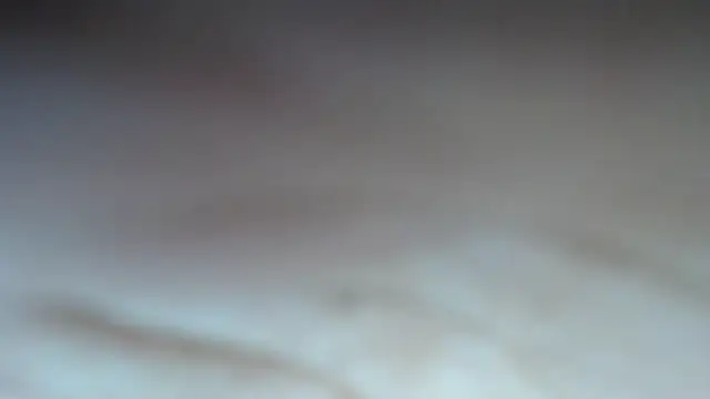 swt shadow online show from February 21, 8:00 pm