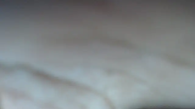 swt shadow online show from February 8, 7:00 pm