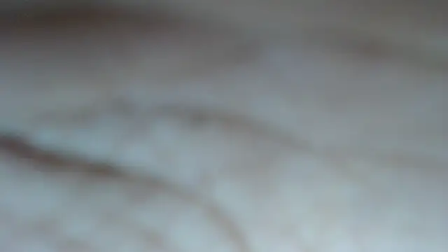 swt shadow online show from March 5, 6:59 pm