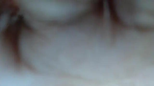 swt shadow online show from March 12, 6:56 pm