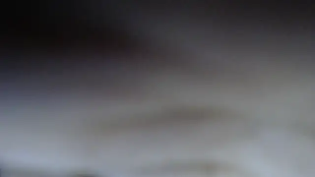 swt shadow online show from February 20, 7:27 pm