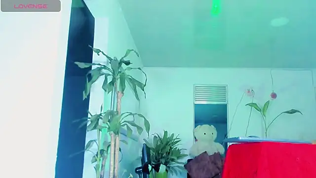 sophiaxxdoll online show from July 15, 5:36 am