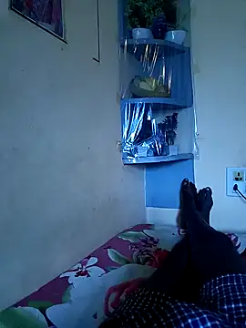 kummuduabbai online show from February 7, 10:45 am