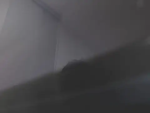 violetasweet11 online show from February 19, 7:05 am