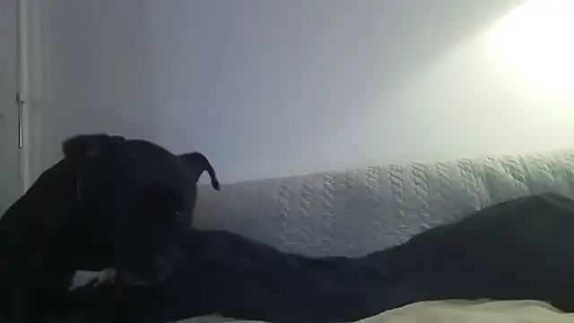 Elosexxy online show from September 24, 7:09 pm