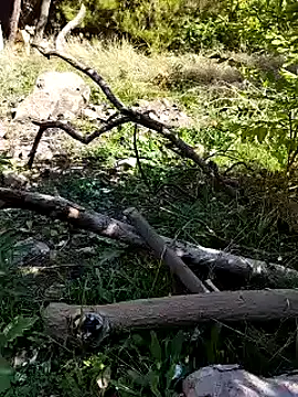 K-27 online show from October 4, 10:28 am