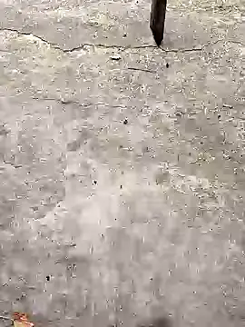 K-27 online show from October 18, 1:35 pm