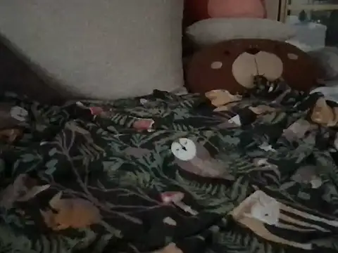 Perwers 41 online show from November 2, 2:22 pm