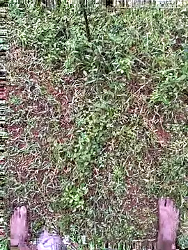 Gopal1243 online show from October 27, 1:39 am