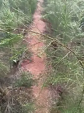 Gopal1243 online show from December 14, 2:00 am