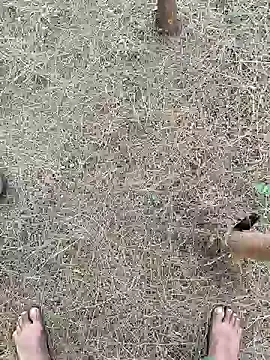 Gopal1243 online show from February 26, 2:19 am