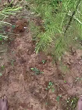 Gopal1243 online show from December 9, 3:29 am