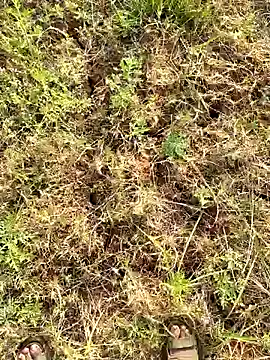 Gopal1243 online show from March 23, 2:15 am