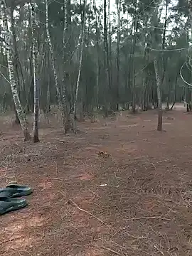 Gopal1243 online show from January 20, 1:18 am