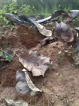 Gopal1243 online show from February 20, 12:04 pm