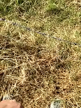 Gopal1243 online show from January 9, 7:59 am